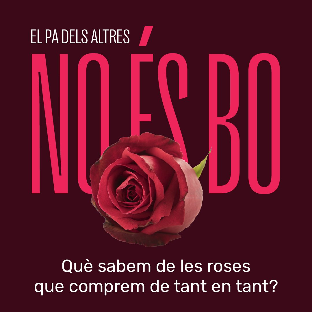 LoPaDelsAltres Roses Banner