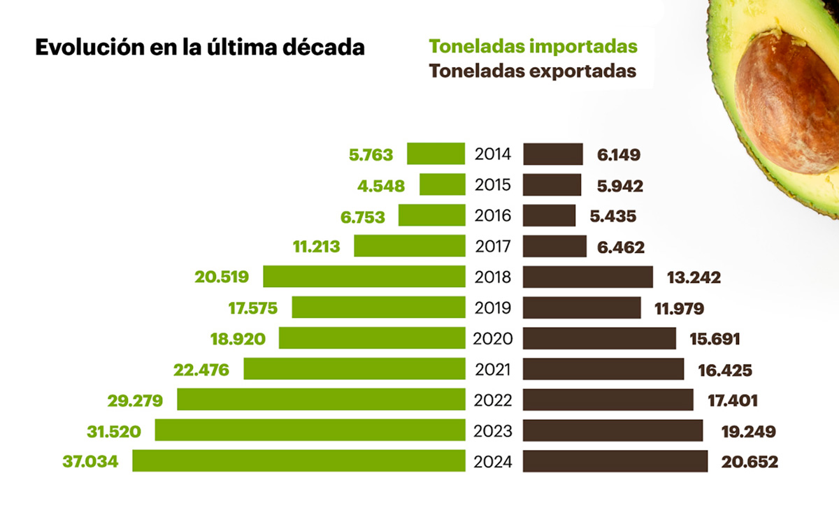 02 AguacateDirecta Evolucion