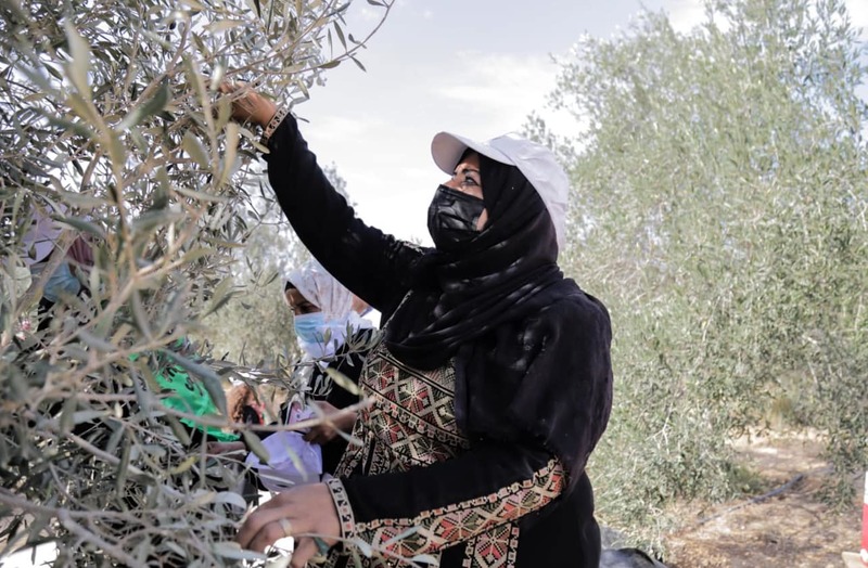 LVC Palestina