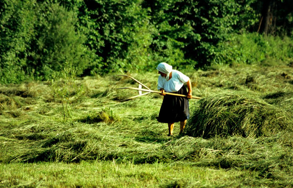 Agricultura campesina en Rumania03 Peter Lengyel