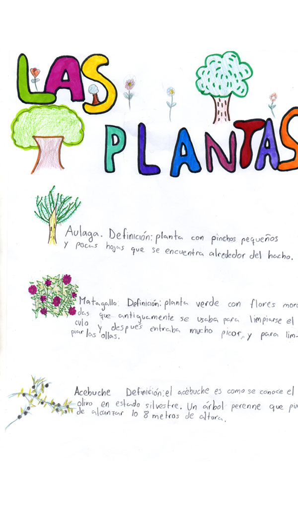 50 Dibujo Las plantas